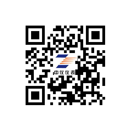 江蘇中儀儀(yi)表集團有限公司(si)